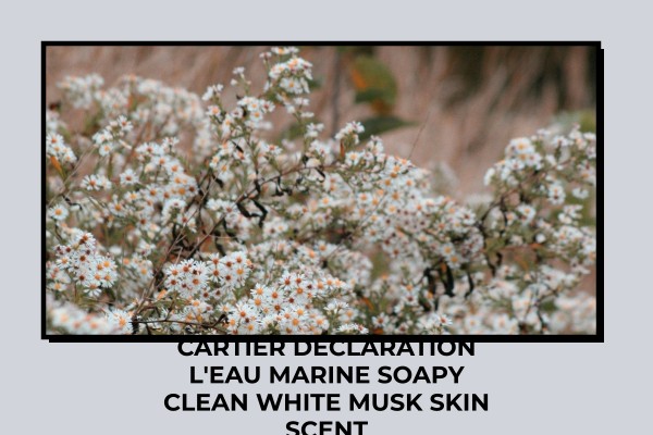 Cartier Declaration L'Eau Marine soapy clean white musk skin scent