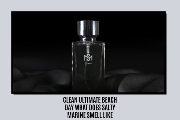 Clean Ultimate Beach Day what does salty marine smell like