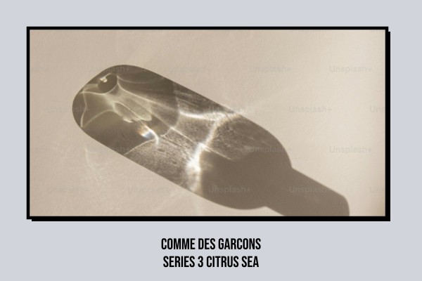 Comme des Garcons - Series 3 Citrus Sea