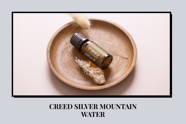 Creed - Silver Mountain Water
