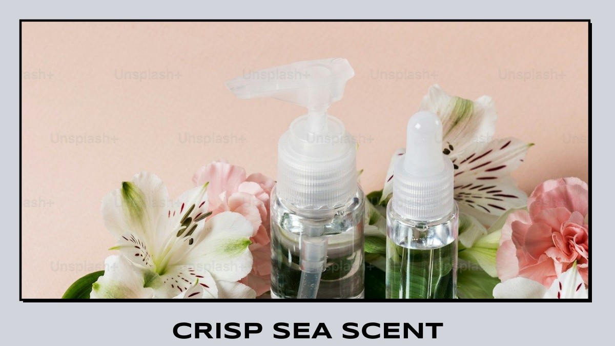 crisp sea scent