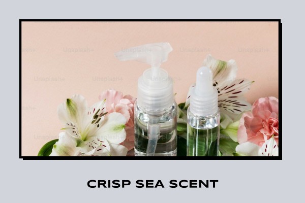 crisp sea scent