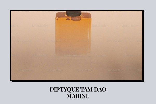 Diptyque - Tam Dao Marine