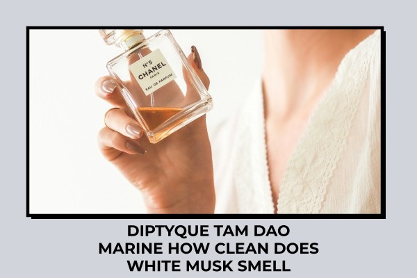 Diptyque Tam Dao Marine how clean does white musk smell