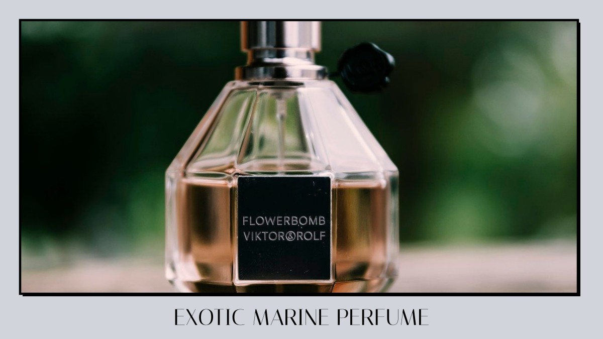 exotic marine perfume