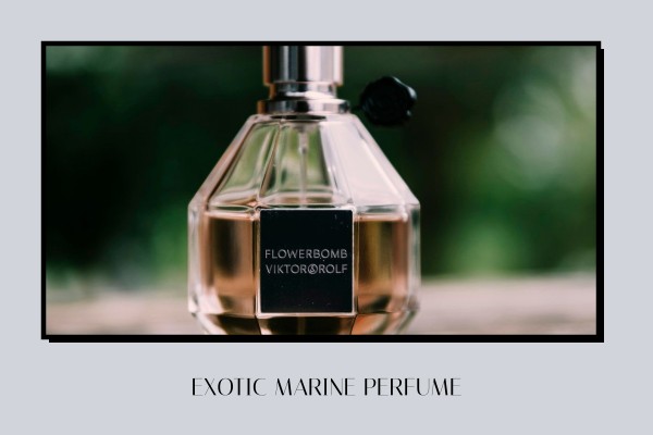 exotic marine perfume