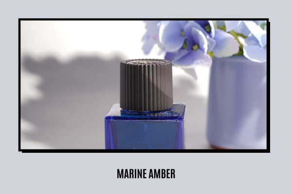 Marine - Amber