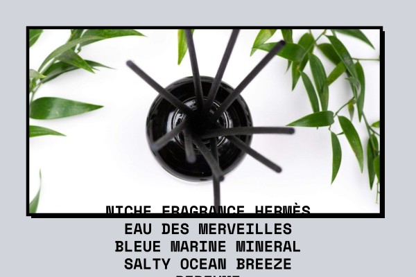 Niche Fragrance Hermès Eau des Merveilles Bleue marine mineral salty ocean breeze perfume