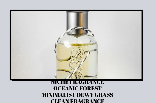 Niche Fragrance Oceanic Forest minimalist dewy grass clean fragrance