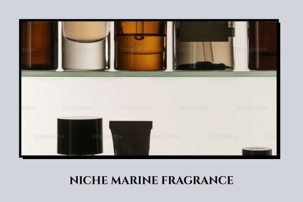 niche marine fragrance