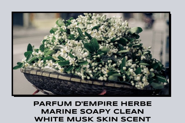 Parfum d'Empire Herbe Marine soapy clean white musk skin scent