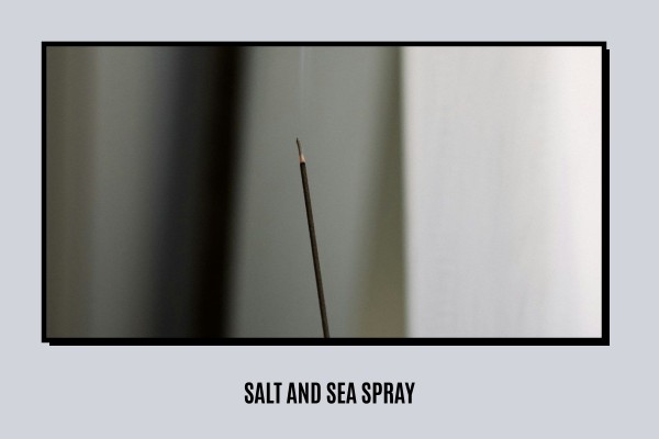 Salt - and Sea-Spray