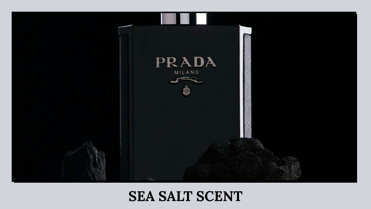 sea salt scent