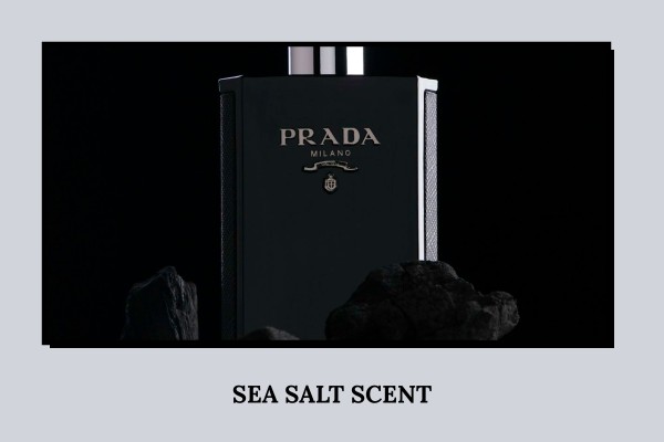 sea salt scent