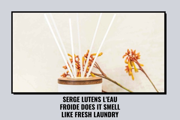 Serge Lutens L'Eau Froide does it smell like fresh laundry